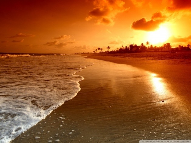 beach sunrise wallpaper