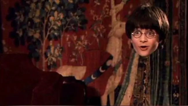 Harry-Potter-style-invisibility-cloak-258978.jpg