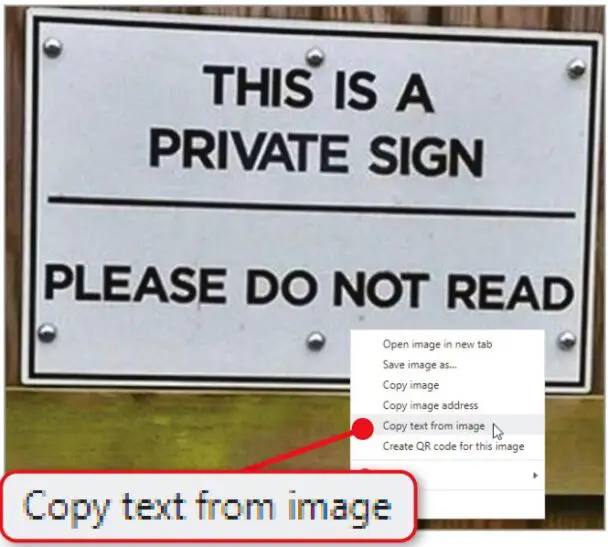 Copy text from online images