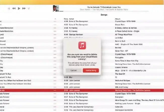 Managing Duplicates In Apple Music