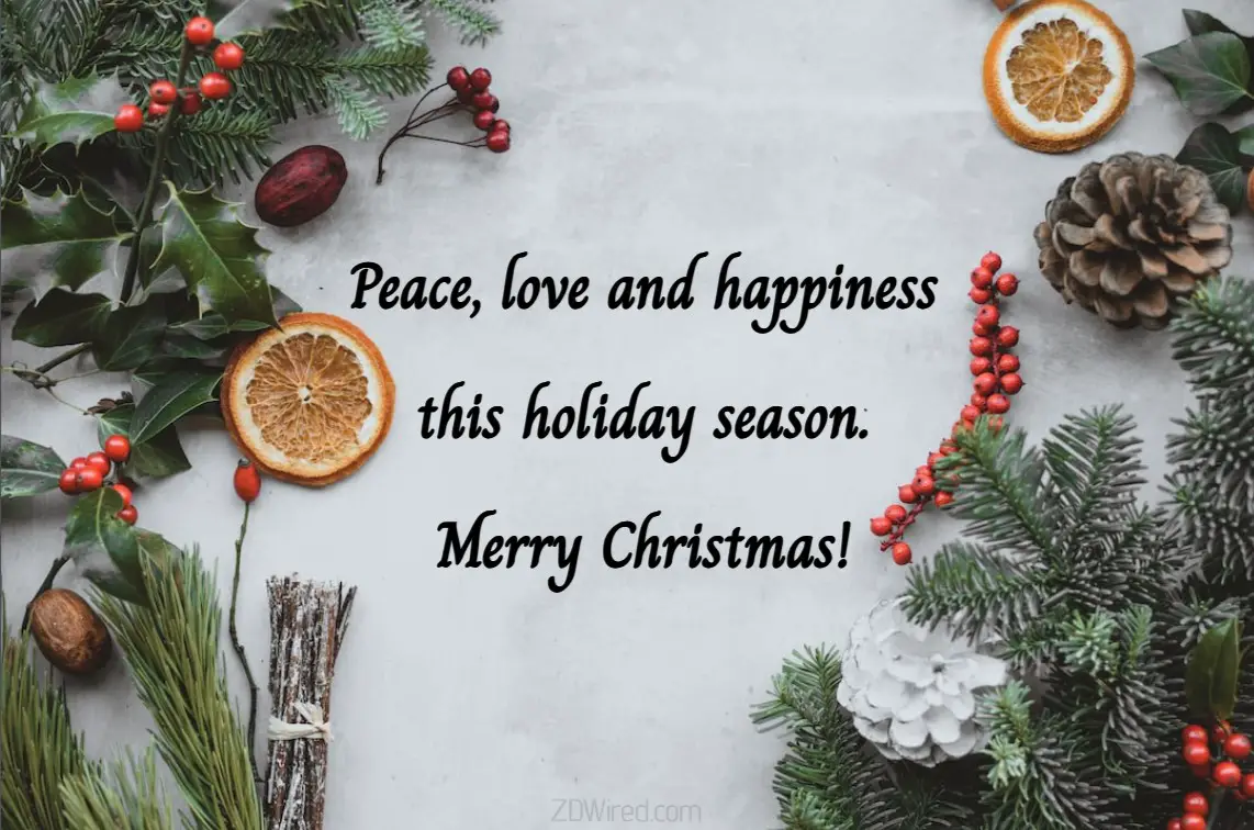 Peace Love And Happiness Merry Christmas