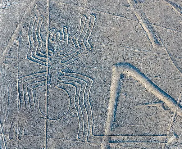The Spider Nazca Lines (Peru)