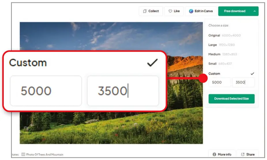 Download Free Stock Photos