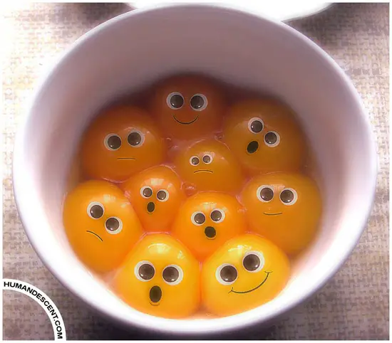 egg yolk emogies