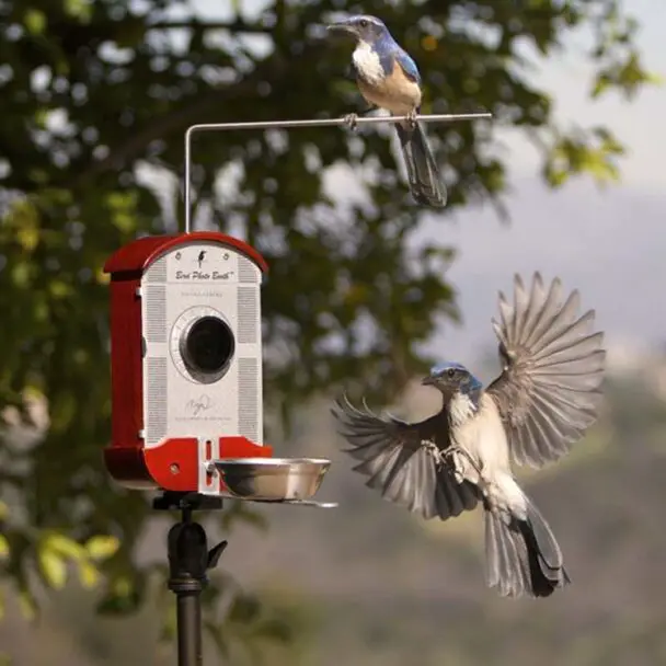 A Bird Feeder With A Built In Camera