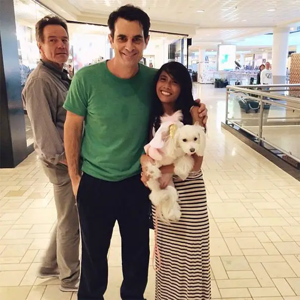 Bryan Cranston Photobomb Fan Taking Picture With Modern Familys Ty Burrell