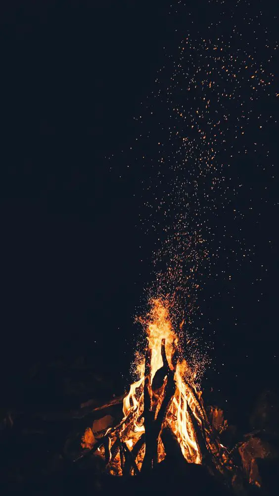 Campfire under a starry sky wallpaper