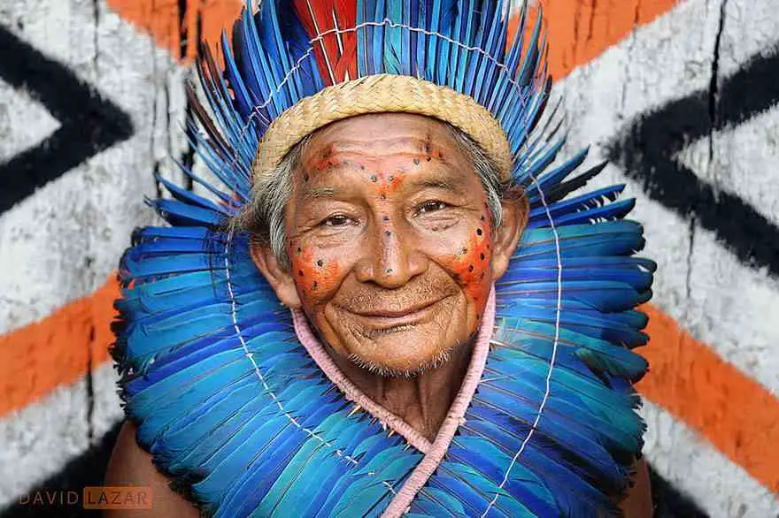 Chief Of A Tribe In Brazil