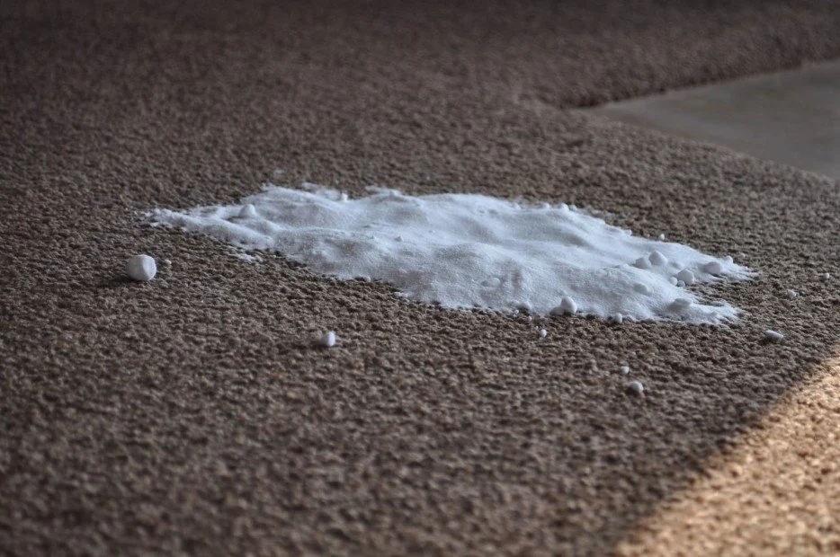 Clean Vomit Stains On Your Carpet