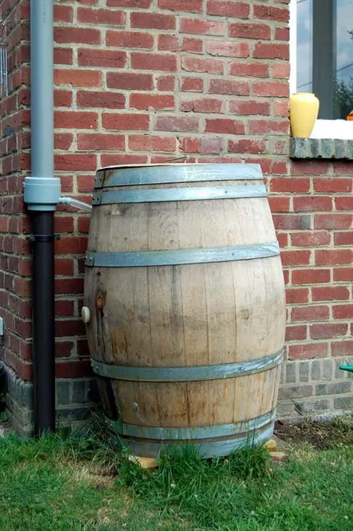 Container barrel