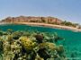 Eilat's Shore