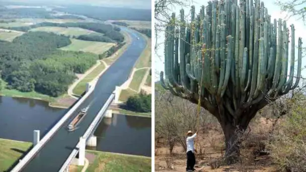 Fascinating Photos That Look Unrealistic