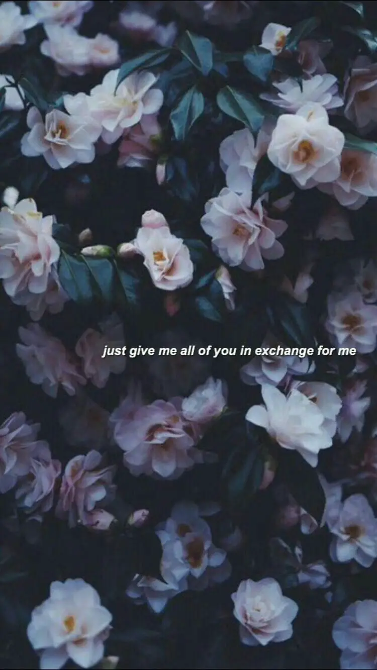 Flowers & Quotes wallpaper