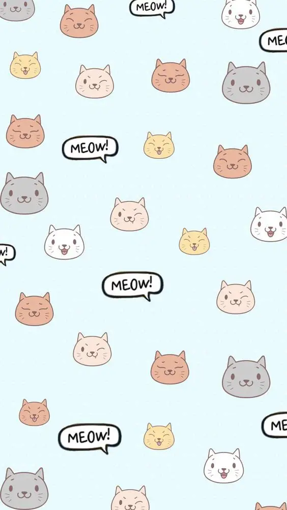 Funny kittens wallpaper