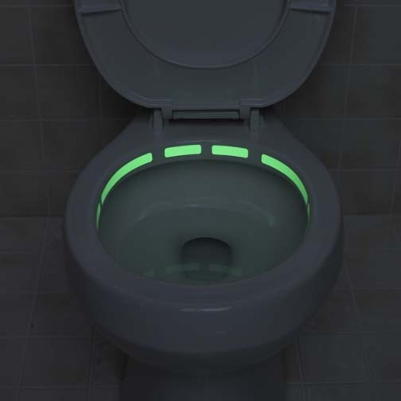 Led Lights To Illuminate The Toilet