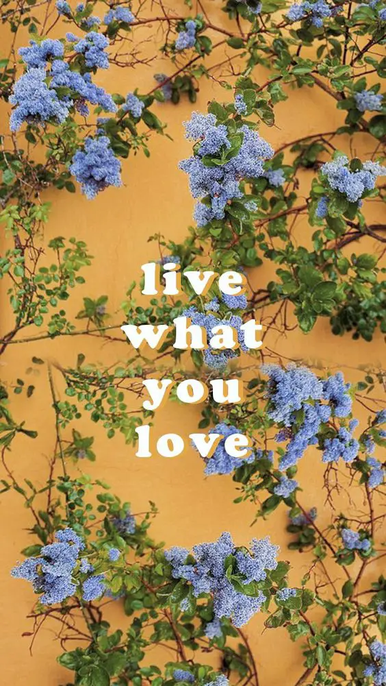 Live what you love wallpaper
