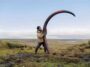 Mammoth Tusk Unearthed