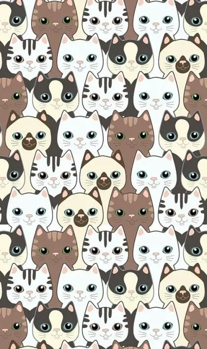 Prettiest kittens wallpaper