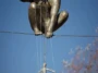The Puppeteer Gravity Defying Sculpture – Jerzy Kedziora And Ann Norton