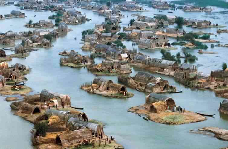 The Marshes Of Mesopotamia In Iraq In 1974