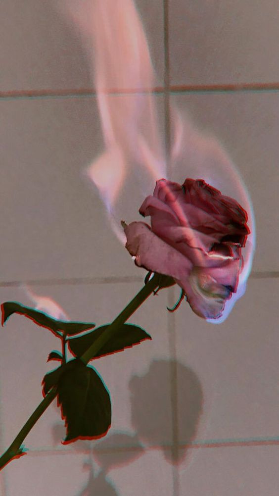 Wallpapers To Be A Tumblr Girl - Burning Flower