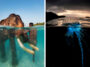 Amazing Underwater World Photos