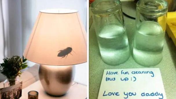 Best Jokes To Put In Action