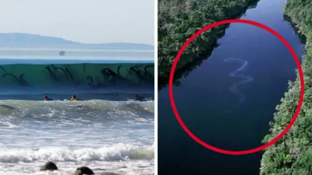 Incredible Sea Photos