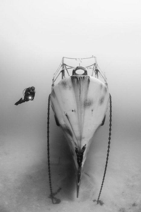 Underwater Photography 2018 natgeo