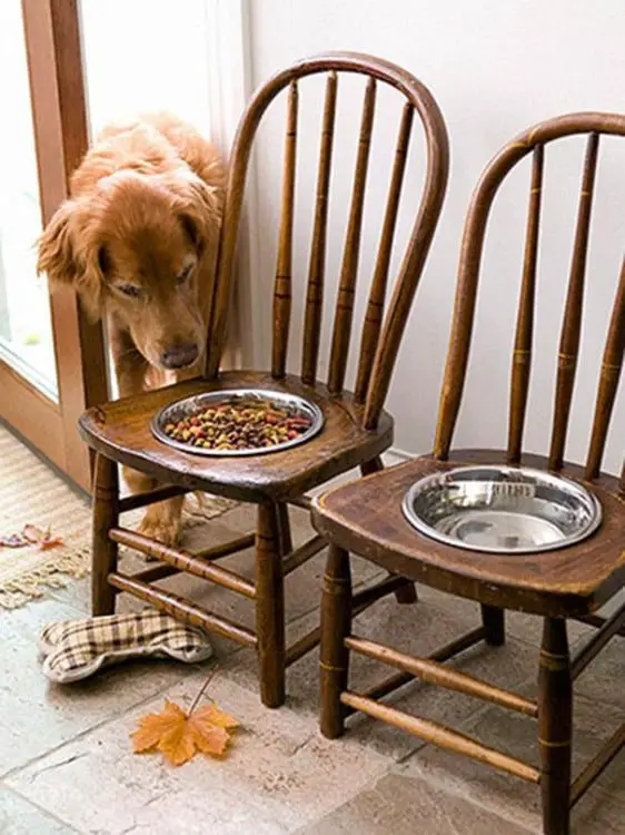 ANTIQUE CHAIRS FOR FEEDING DOGS