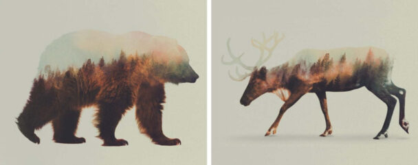 Amazing Portraits Of Animals In Double Exposure