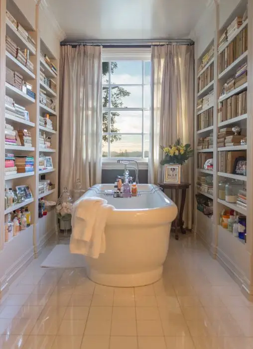 Bathtub with bookshelves