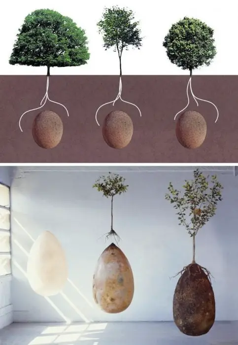 Biodegradable coffins