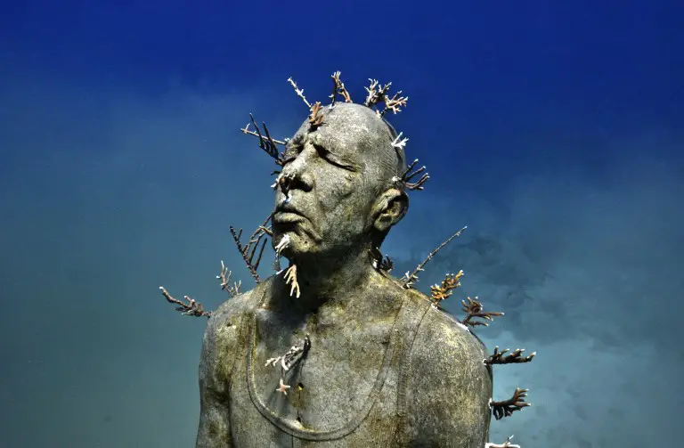 Corals Coming Out Of The Face Of The Statue Man