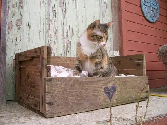 Cat bed made with DIY pallets