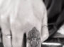 Fingers Tattoo Of Gods