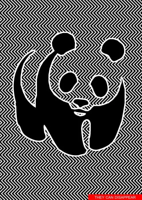 Ilja Klemencov created an optical illusion of a panda 