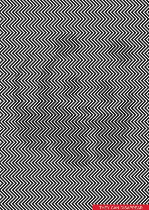 Optical illusion of a panda 
