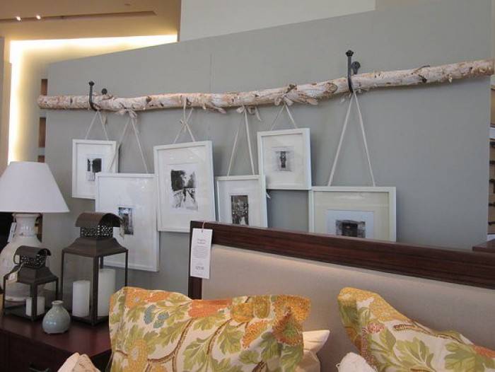 Photos hanging from a branch