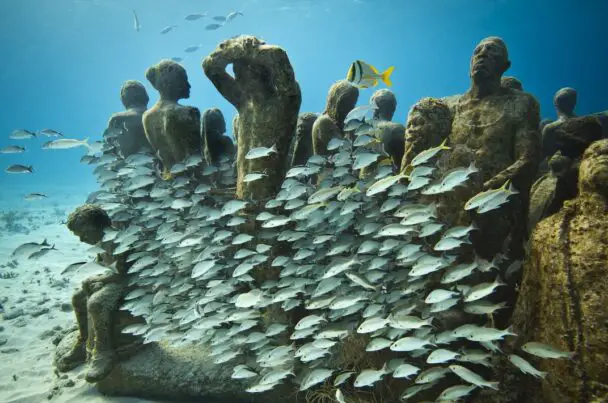 Reefs Teeming With Marine Life Surrounding The Statues Of Jason De Caire