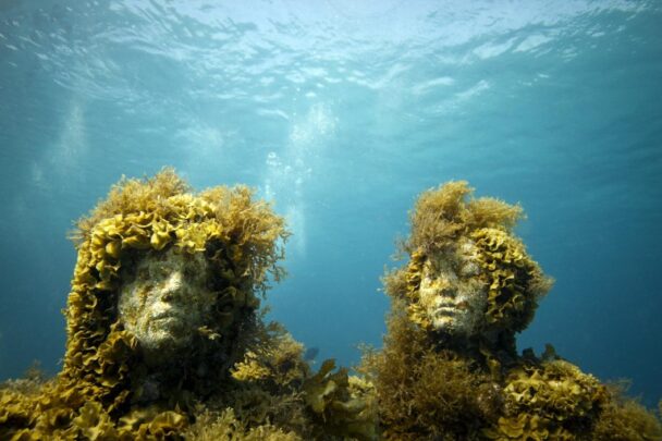 Seaweed Growing On Statue Of Women's Faces Underwater