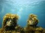 Seaweed Growing On Statue Of Women's Faces Underwater