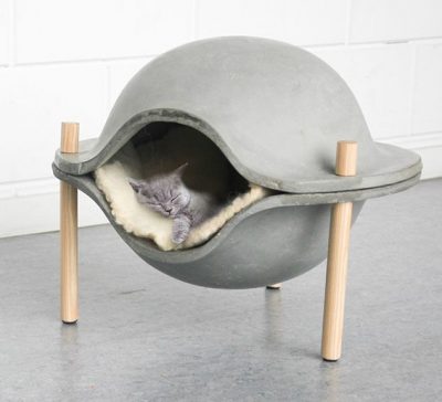 Cat Bed Ideas For Decorating With Cement