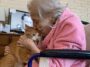 Grandmother Just Adopted A Cat From A Shelter That Doesn't Leave Her