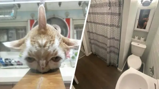 Photos That Show It's All About The Angle Of View