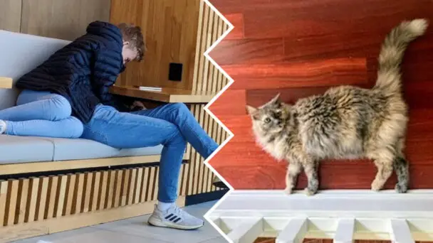 When The Optical Illusion Plays Tricks On Us