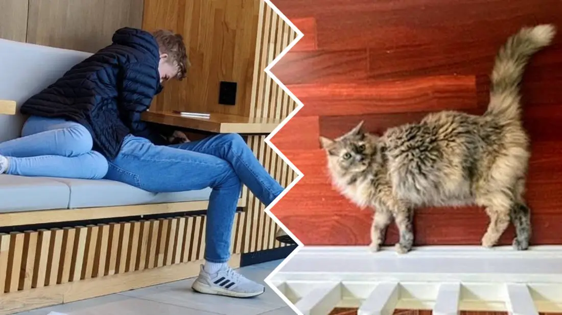 When The Optical Illusion Plays Tricks On Us