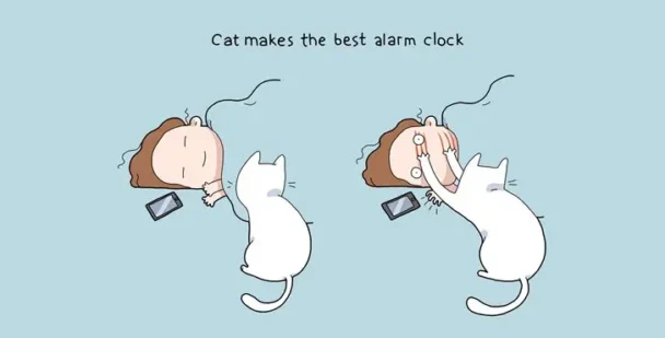 Benefits Of Cat Ownership 002