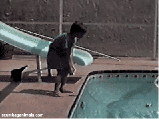 Cat throwing boy in Pool