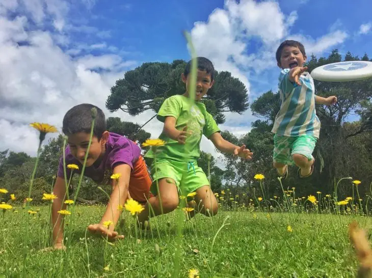 Children playing in the grass